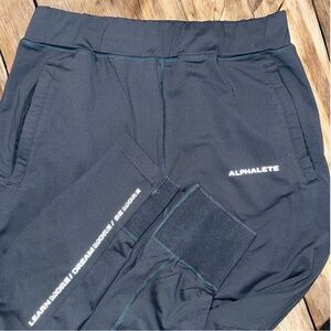 Alphalete Joggers Medium Navy Reflective Learn More Dream More Be More Mens Gym